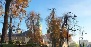 4listopada,pszczyna,słonecznie,jesień,rynek,starówka,silesia,lovesilesia,fotodnia,instagram