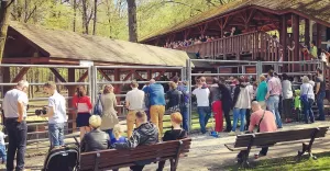 niedziela,pszczyna,pless,zagrodazubrow,turystyka,śląsk,silesia,fotodnia,instagram