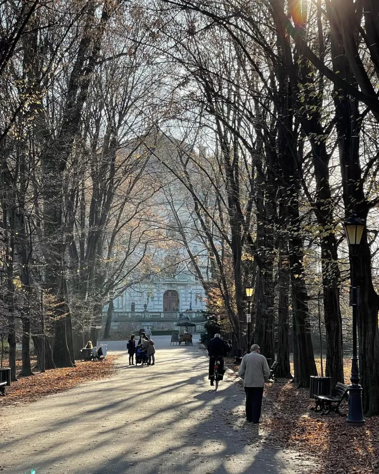 Pszczyna,Parkwpszczynie,jesień,listopad,lovesilesia,lovepless,fotodnia,instagram