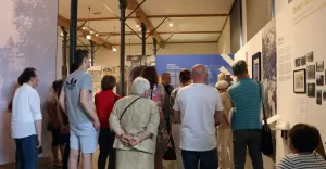 Muzeum Zamkowe