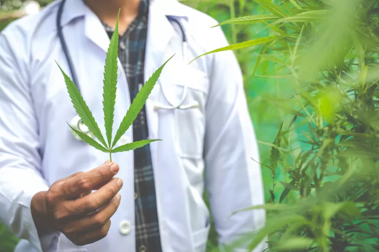 Marihuana medyczna z perspektywy leczenia nowotworów