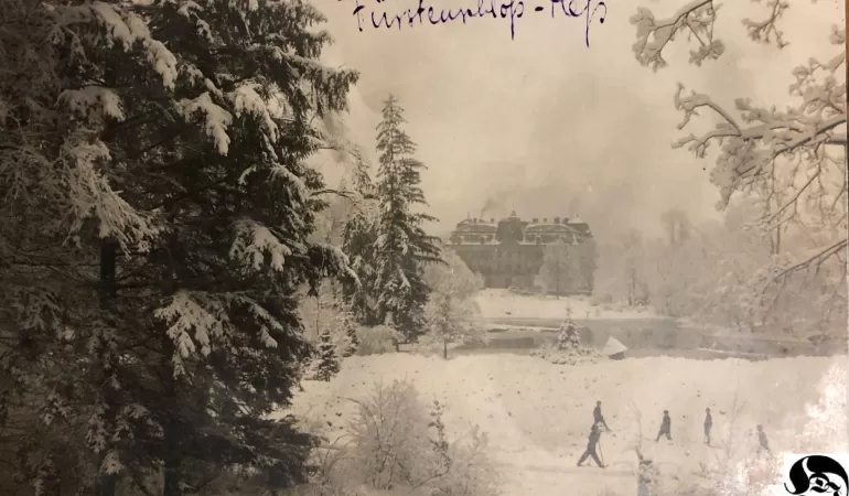Widok z eiskellera na zamek, około 1910 roku