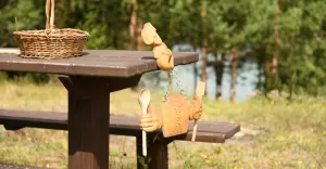 Jak wybrać idealny obóz młodzieżowy dla nastolatka?