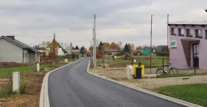 braci jędrysików