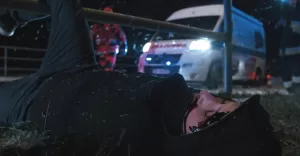 Jedna śmierć to tragedia, milion - to statystyka