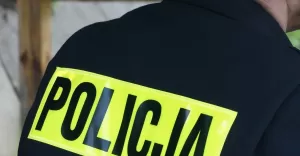 Dwójka złodziei w rękach policji