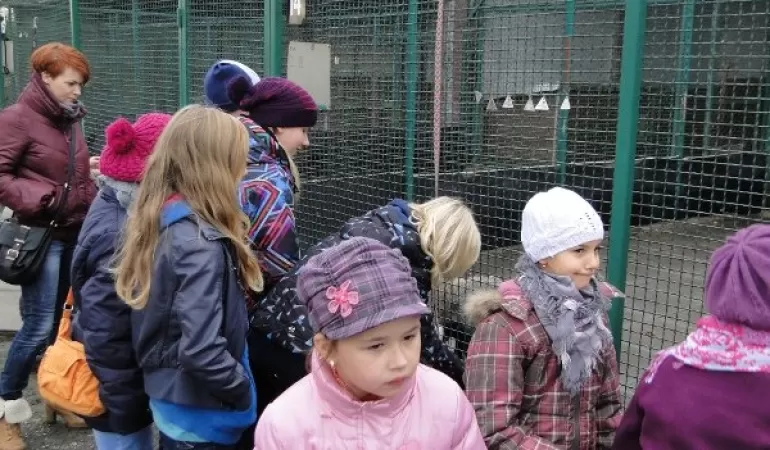 ZSP Krzyżowice, schronisko Jastrzębie