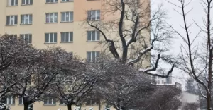 Szpital w Pszczynie