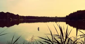 wtorek,14czerwca,wieczór,spacer,pszczyna,staw,cyranka,park,zwierzyniec,natura,fotodnia,instagram