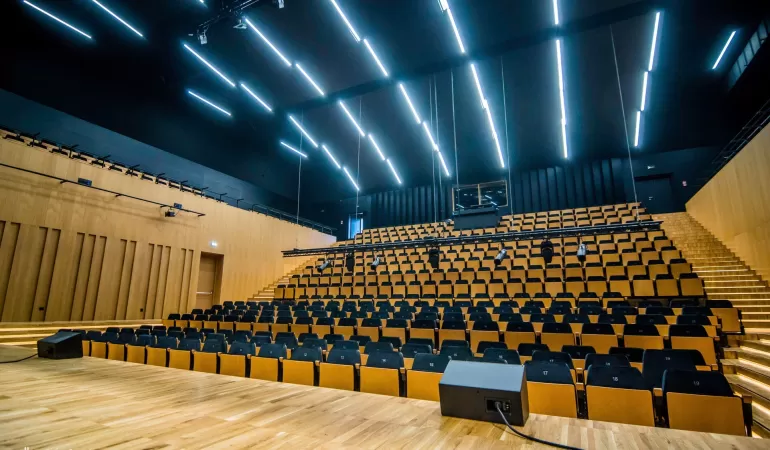 Sala widowiskowa pckulu