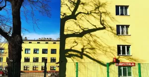 pszczyna,pless,budynek,korfantego,drzewo,cień,fotodnia,instagram