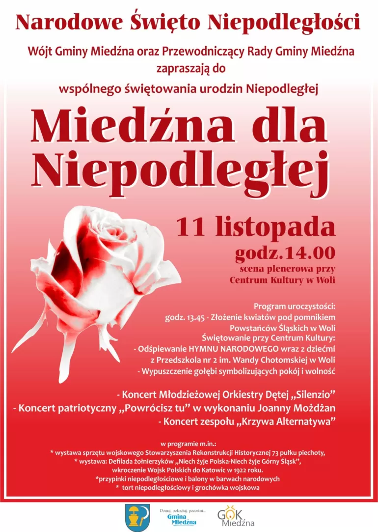 Narodowe Święto Niepodległości w gminie Miedźna