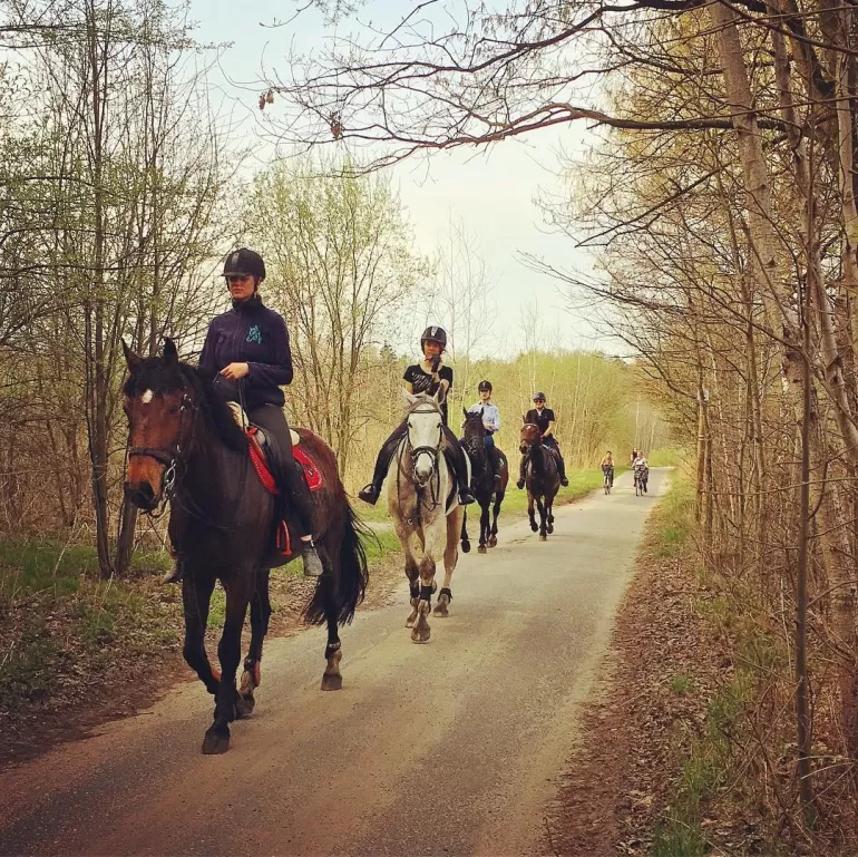 terazwpszczynie,15kwietnia,studzienice,pszczyna,pless,konno,konie,las,weekend,spacer,fotodnia,insta