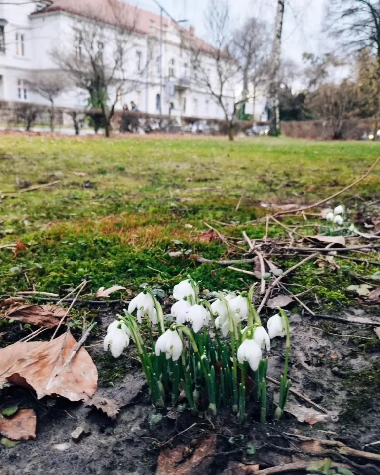 fotodnia,instagram