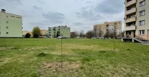 Nasadzenia przy Bolesława Śmiałego - 06.04.2023