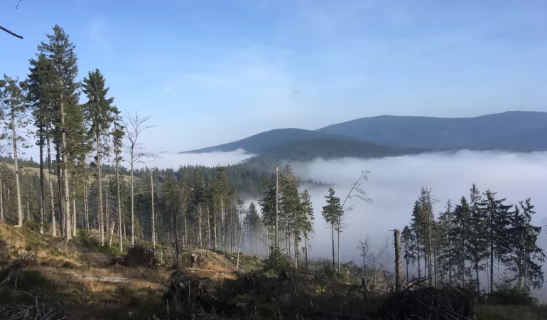 Beskidy z Tatrami w tle. Wędrujemy na Rysiankę