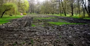 park, porządki, orka