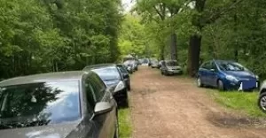 Kierowcy parkują w zabytkowym parku - 22.05.2022