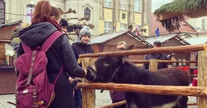 pszczyna,15grudnia,pless,rynek,święta,jarmarkświąteczny,żywaszopka,śląsk,silesia,lovesilesia