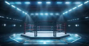 Najpopularniejsze Federacje MMA na Świecie
