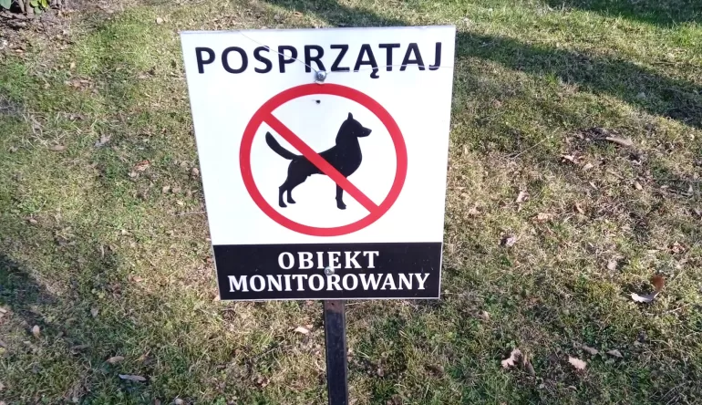 psie kupy