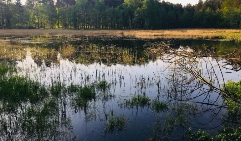 Staw Żebrok w Studzienicach został przebudowany - 04.2021