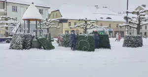 Rozpoczął się montaż choinki na pszczyńskim rynku