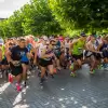 XIV Carbo Asecura Bieg Pszczyński - trasa, informacje o utrudnieniach