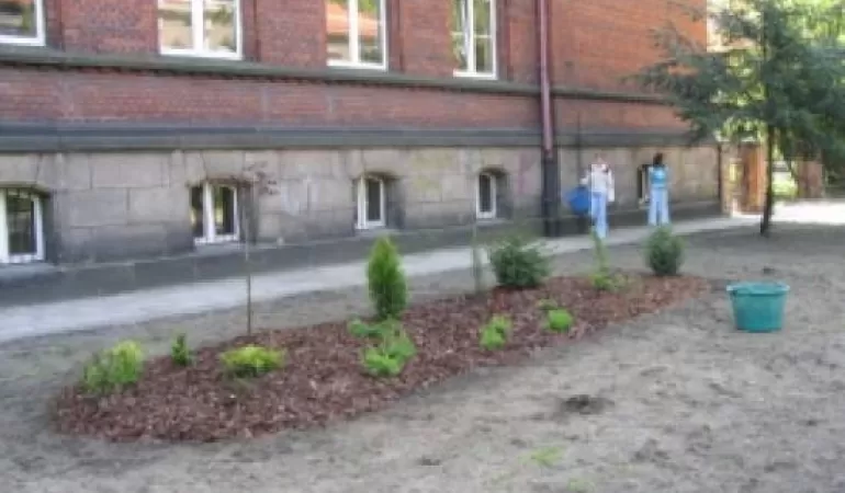 Chrobry otoczony zielenią